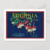 Fuchsia Lemon LabelLa Verne, CA Postkarte (Vorderseite)