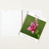 Fuchsia-Lily-Planer Planer (Anzeige)