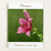 Fuchsia-Lily-Planer Planer (Vorderseite)