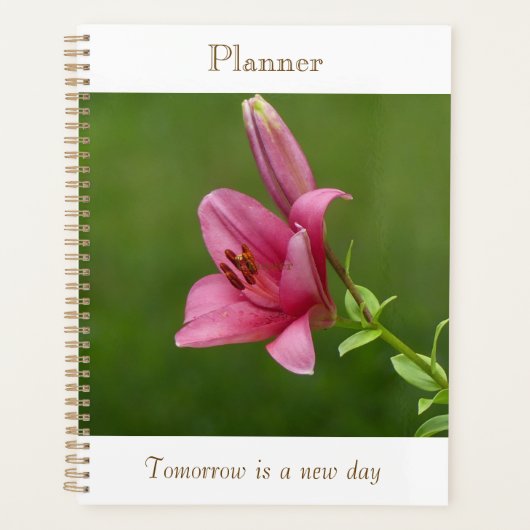 Fuchsia-Lily-Planer Planer (Vorderseite)