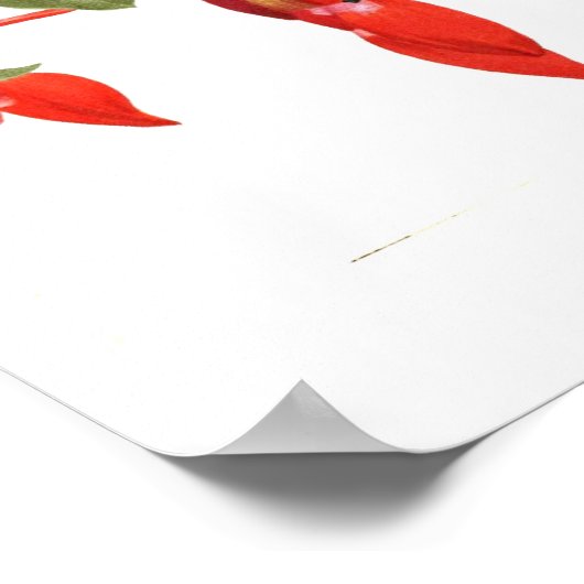 Fuchsia 'Monarch' Poster (Ecke)