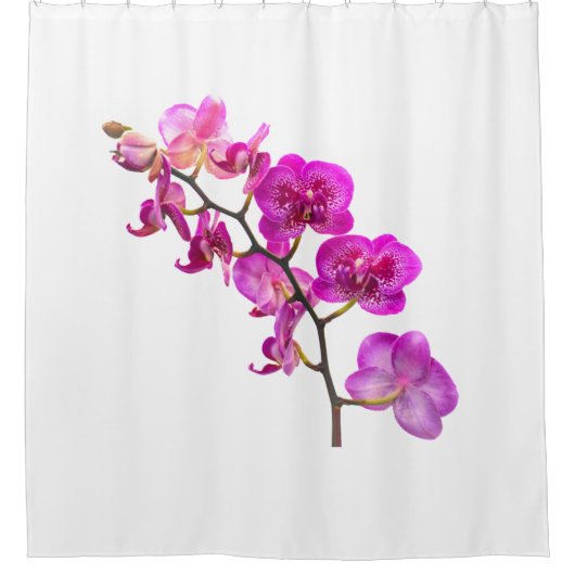 Fuchsia Orchid Spray Duschvorhang (Vorderseite)