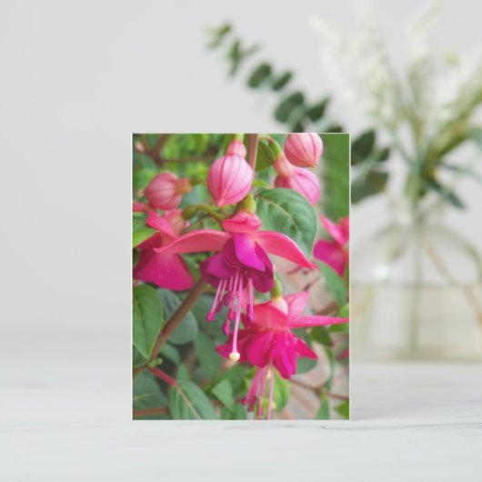 Fuchsia Paula Jane Postkarte (Stehend Vorderseite)