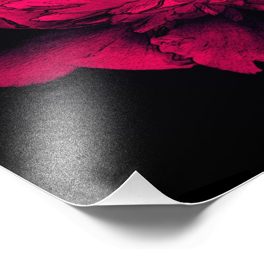 Fuchsia Peony Blume Abstrakt Flora Art 8x10 Fotodruck (Ecke)