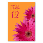 Fuchsia Pink Orange Gerbera Daisy Wedding Tischnummer (Rückseite)