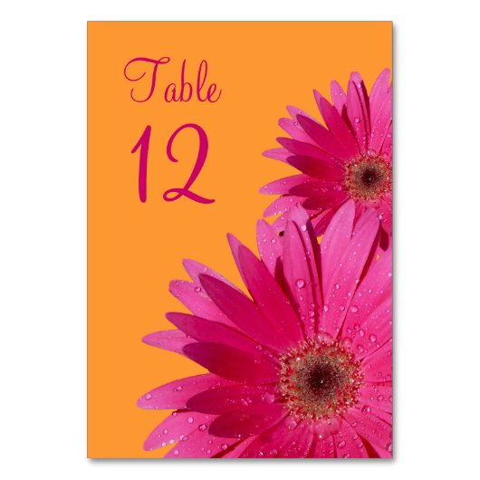 Fuchsia Pink Orange Gerbera Daisy Wedding Tischnummer (Vorderseite)