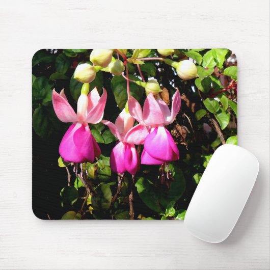 Fuchsia-Rahmen Mousepad (Mit Mouse)