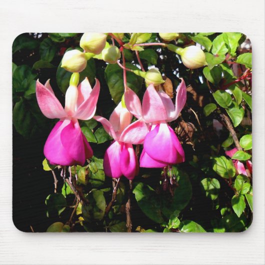 Fuchsia-Rahmen Mousepad (Vorne)