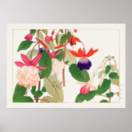 Fuchsia, rosa Lila rote Blume, Tanigami Konan, Poster