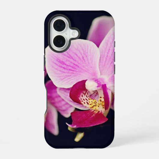 Fuchsia Rosa Orchidee iPhone 16 Hülle (Rückseite)