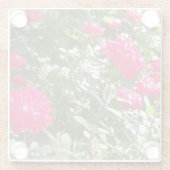 Fuchsia-Rose überall Glasuntersetzer (Rückseite)