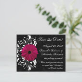 Fuchsia Scroll Gerbera Daisy Black Save the Date Ankündigungspostkarte (Stehend Vorderseite)