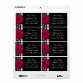 Fuchsia Scroll Gerbera Daisy w/Black and White (Vorne)