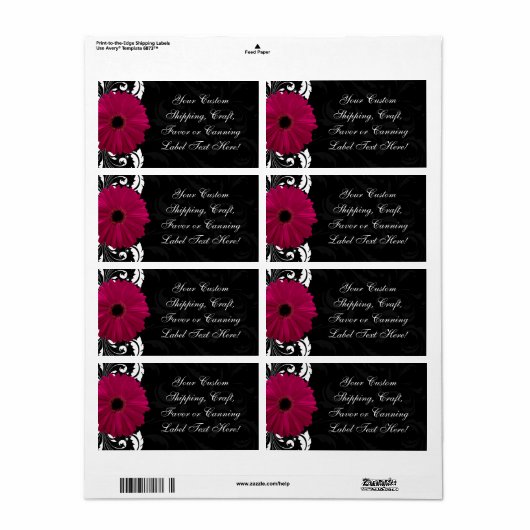 Fuchsia Scroll Gerbera Daisy w/Black and White (Vorne)