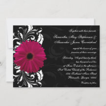Fuchsia Scroll Gerbera Daisy w/Black and White