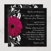 Fuchsia Scroll Gerbera Daisy w/Black and White Einladung (Vorne/Hinten)