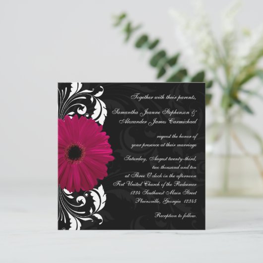 Fuchsia Scroll Gerbera Daisy w/Black and White Einladung (Stehend Vorderseite)