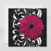 Fuchsia Scroll Gerbera Daisy w/Black and White Einladung (Rückseite)