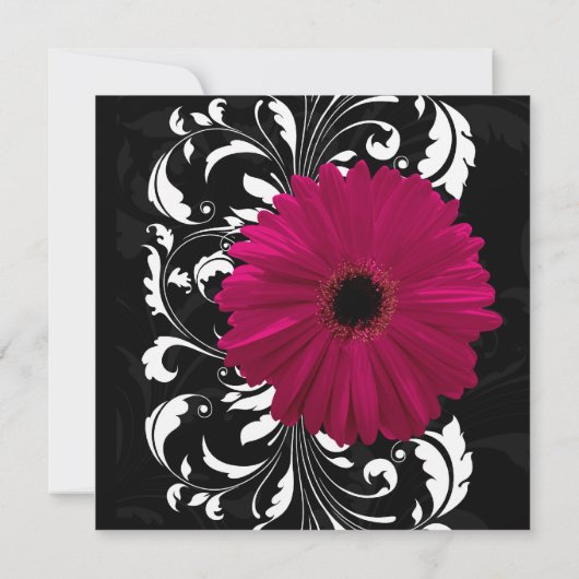 Fuchsia Scroll Gerbera Daisy w/Black and White Einladung (Rückseite)