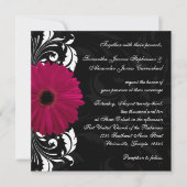 Fuchsia Scroll Gerbera Daisy w/Black and White Einladung (Vorderseite)