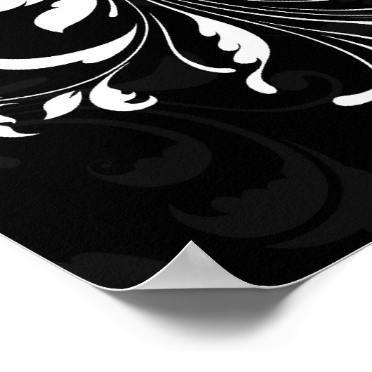 Fuchsia Scroll Gerbera Daisy w/Black and White Poster (Ecke)