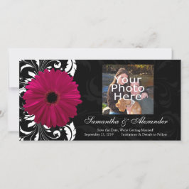 Fuchsia Scroll Gerbera Daisy w/Black and White Save The Date