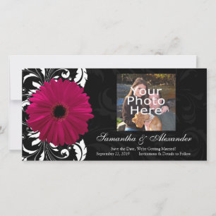 Fuchsia Scroll Gerbera Daisy w/Black and White Save The Date