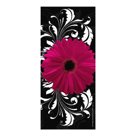 Fuchsia Scroll Gerbera Daisy w/Black and White Werbekarte (Hinten)