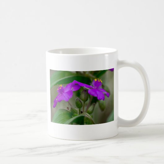 Fuchsia Spiderwort Twins Wildblume Geschenke Appar Kaffeetasse (Rechts)