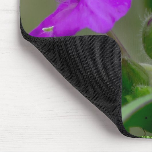 Fuchsia Spiderwort Twins Wildblume Geschenke Appar Mousepad (Ecke)