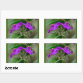 Fuchsia Spiderwort Twins Wildblume Geschenke Appar Rechteckiger Aufkleber (Blatt)