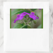 Fuchsia Spiderwort Twins Wildblume Geschenke Appar Rechteckiger Aufkleber (Tasche)