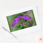Fuchsia Spiderwort Twins Wildblume Geschenke Appar Rechteckiger Aufkleber (Umschlag)