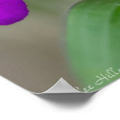 Fuchsia Spiderwort Twins Wildblume Poster (Ecke)