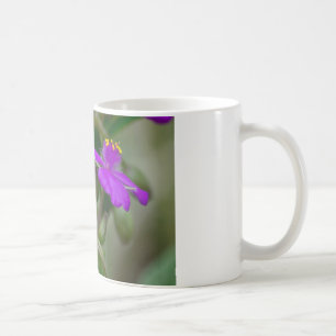 Fuchsia-Spinnkraut-Zwillinge Wildblumen-Geschenke Kaffeetasse