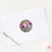 Fuchsia Stickers (Umschlag)