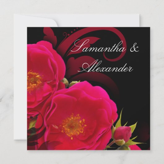 Fuchsia und Black Garden Rose mit Swirt Square Einladung (Rückseite)