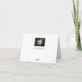 "FUCHSIA & WHITE PEONY" KARTE (Rückseite)