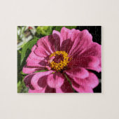 Fuchsia Zinnia Blume Nah Puzzle (Horizontal)