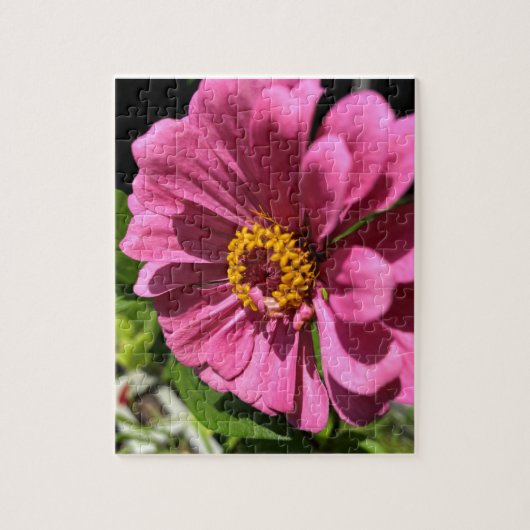 Fuchsia Zinnia Blume Nah Puzzle (Vertikal)