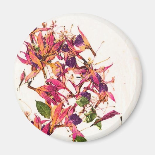 FUCHSIAS I MAGNET (Vorne)