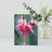 Fuchsias Postkarte (Stehend Vorderseite)