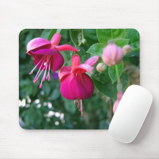Fuchsie 1 mousepad (Mit Mouse)
