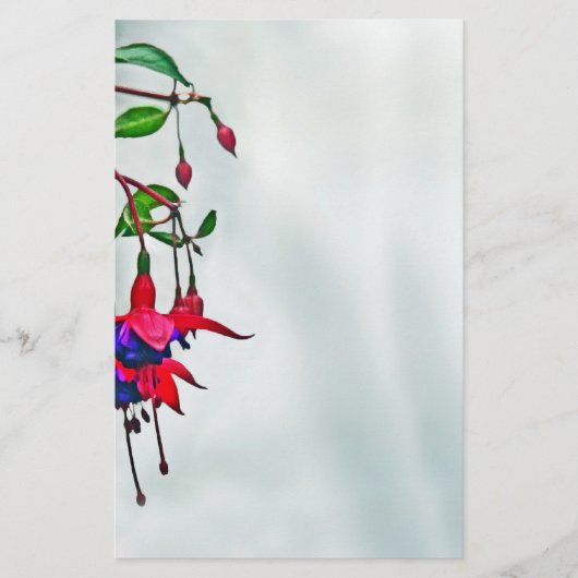 Fuchsie Briefpapier (Vorderseite)