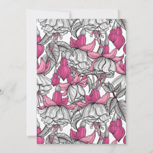 Fuchsie in weiß und rosa