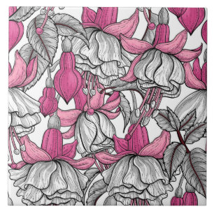 Fuchsie in weiß und rosa fliese