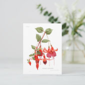 Fuchsie 'Monarch' Postkarte (Stehend Vorderseite)