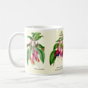 Fuchsien-Art von Joseph Paxton Kaffeetasse