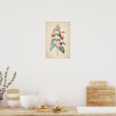 Fuchsien-Botanikdruck Poster (Küche)
