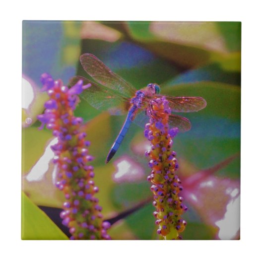 Fuchsienfliege und Blume Fliese (Vorderseite)